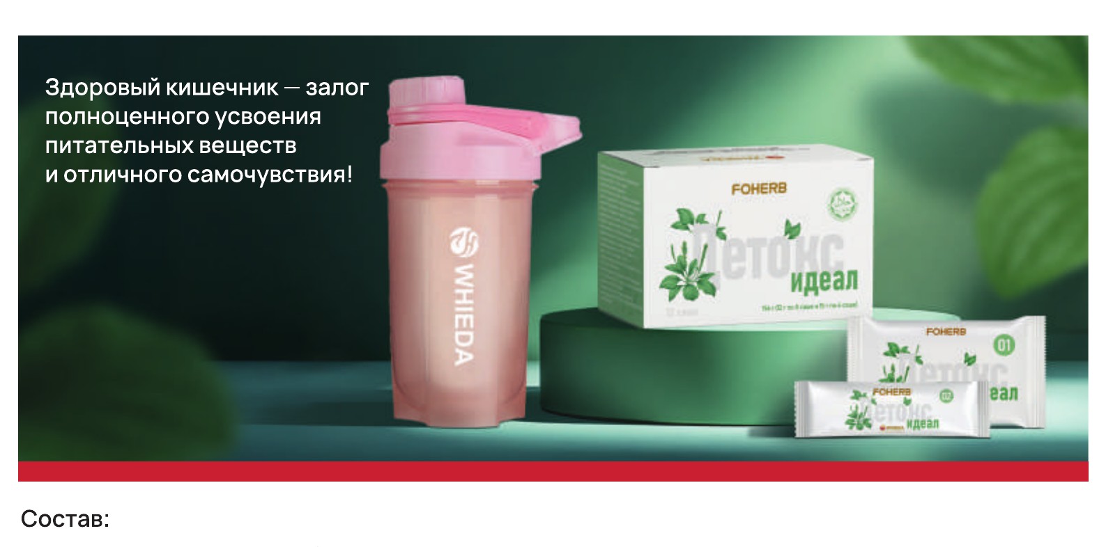 Детокс-продукты Виеда (Whieda) — линейка для поддержки организма